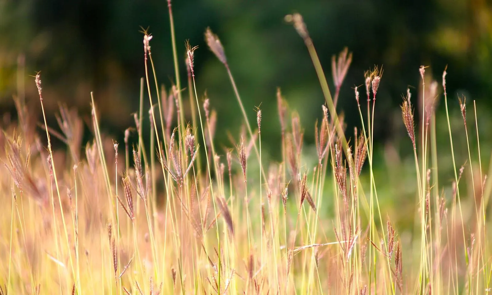 Mapa de flujo para evaluar herramientas de marketing con IA